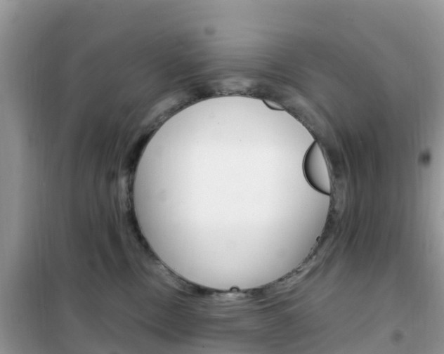 X0000102370378200808011029