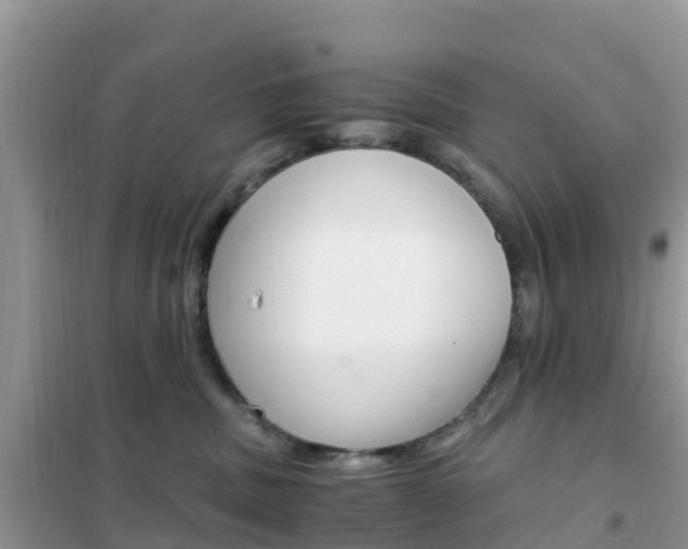 X0000102370379200808011029