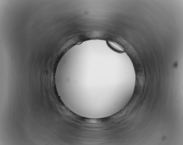 X0000102370380200808011029