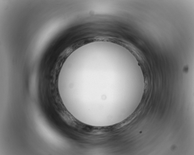 X0000102370381200808011029