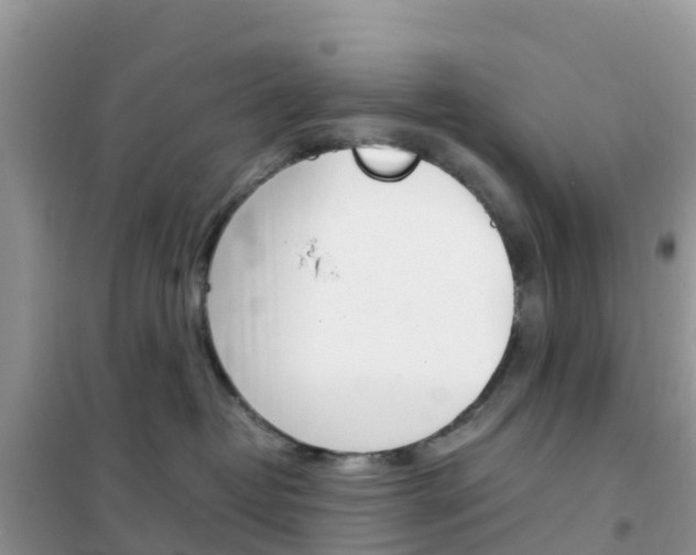 X0000102370382200808011030
