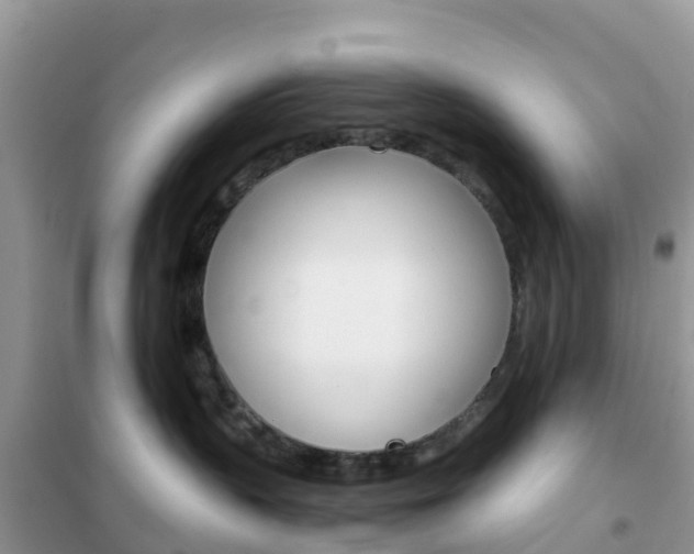 X0000102370383200808011030