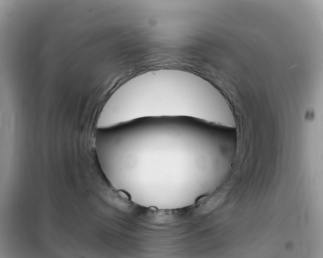 X0000102370384200808011030
