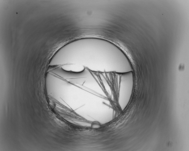 X0000102370385200808011029