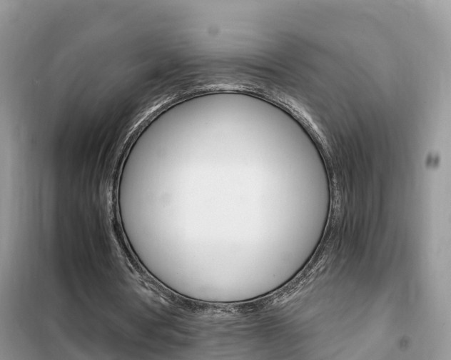 X0000102370386200808011029