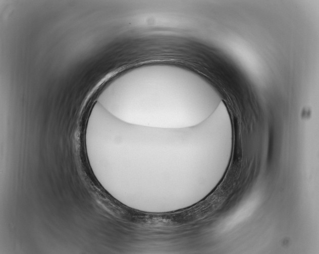 X0000102370387200808011029