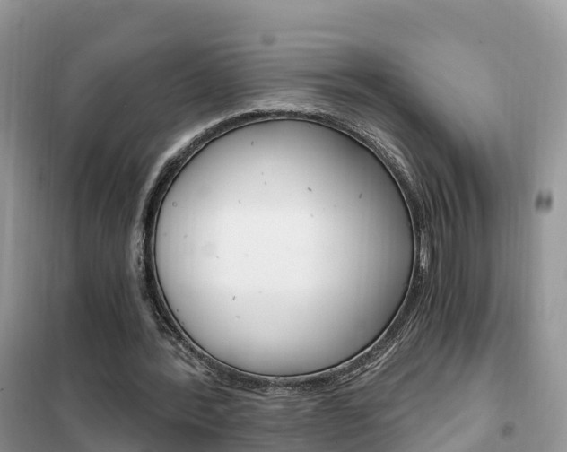 X0000102370388200808011029