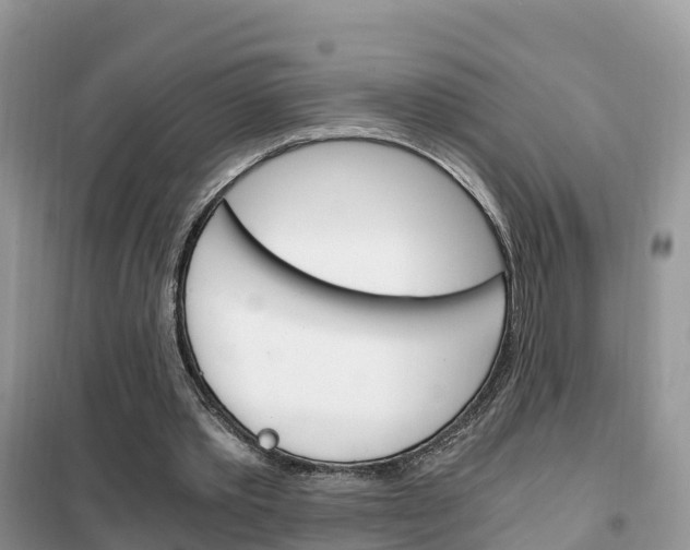 X0000102370389200808011029