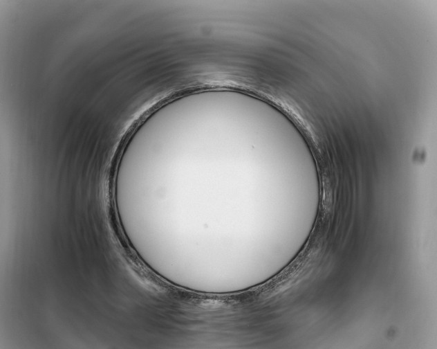 X0000102370390200808011029