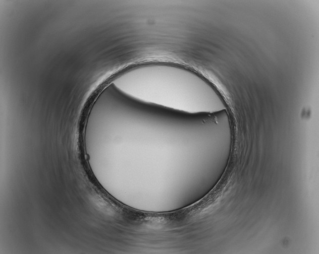 X0000102370391200808011029