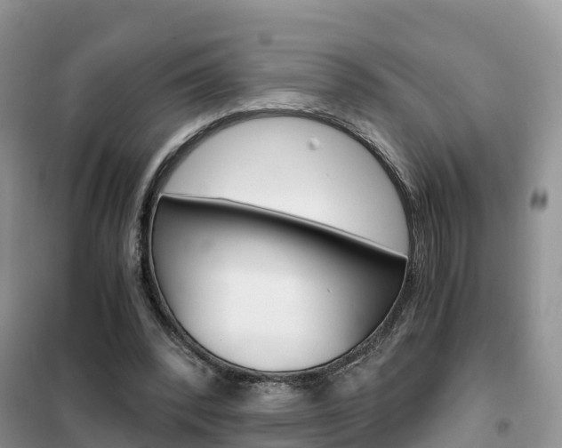 X0000102370392200808011029
