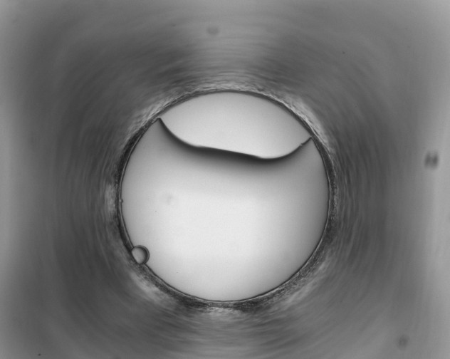 X0000102370393200808011029