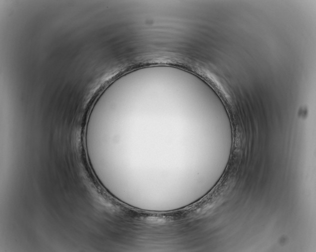 X0000102370394200808011029