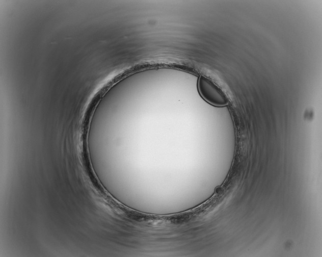 X0000102370395200808011029