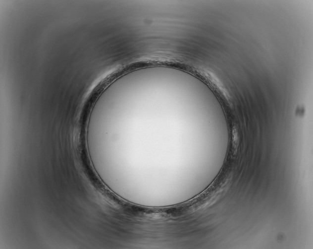 X0000102370396200808011029