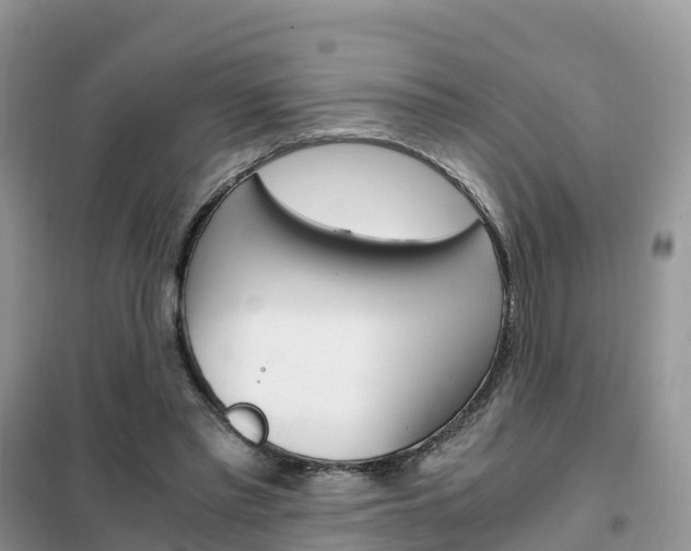 X0000102370397200808011029