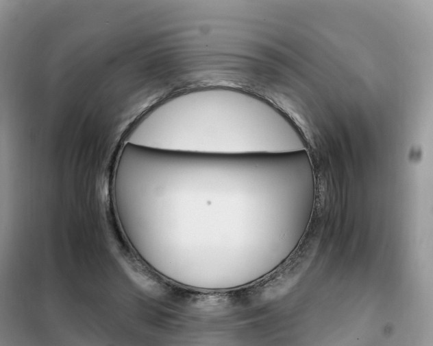 X0000102370398200808011028