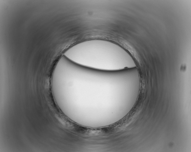 X0000102370401200808011028