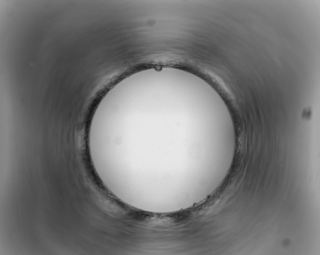 X0000102370403200808011028