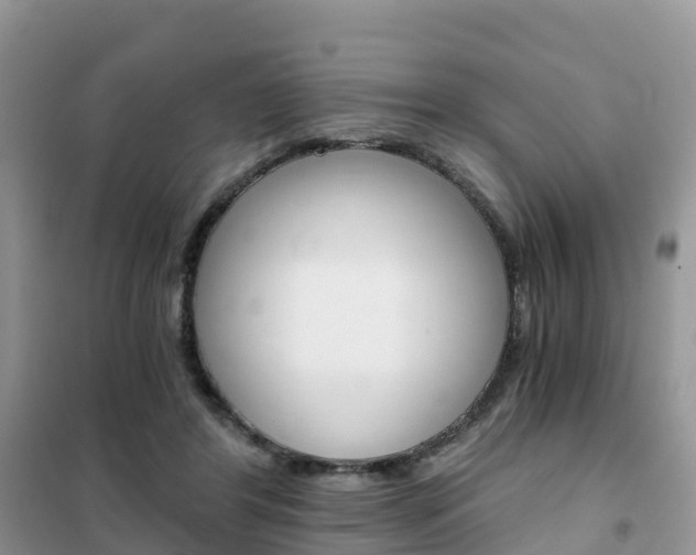 X0000102370404200808011028