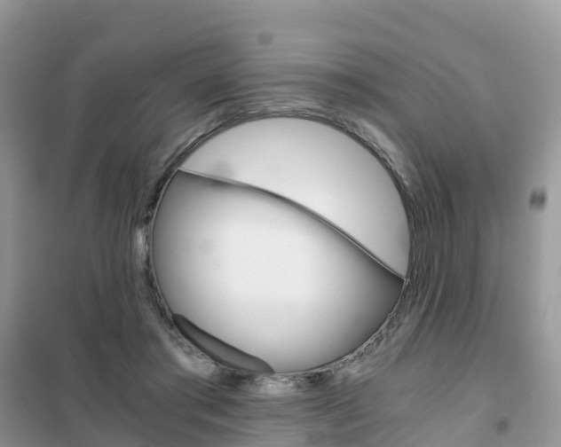 X0000102370405200808011028