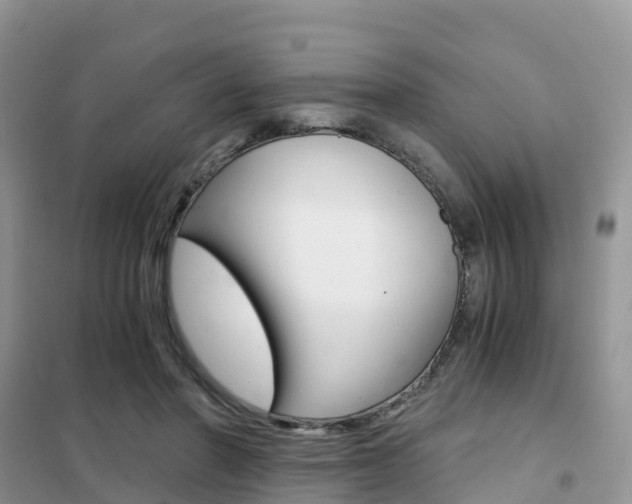 X0000102370406200808011028