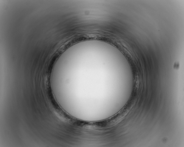 X0000102370408200808011028