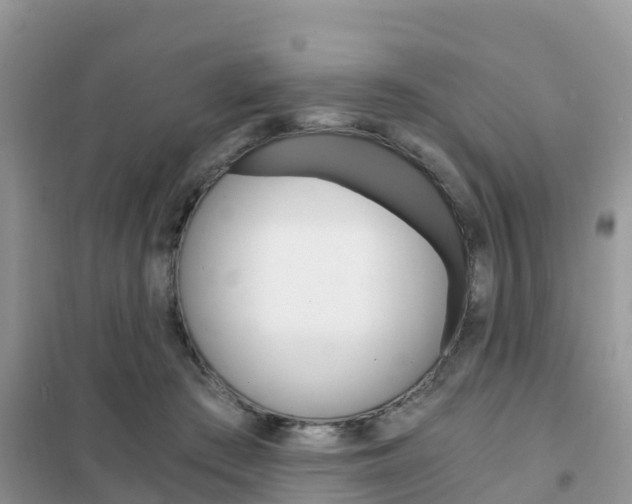 X0000102370409200808011028