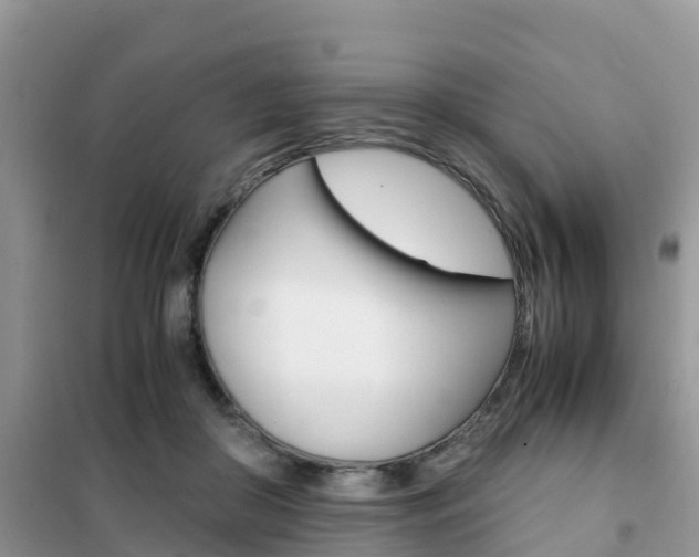 X0000102370410200808011028