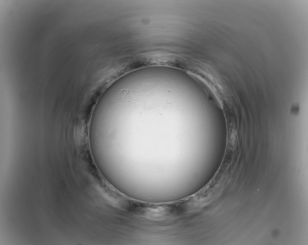 X0000102370411200808011028