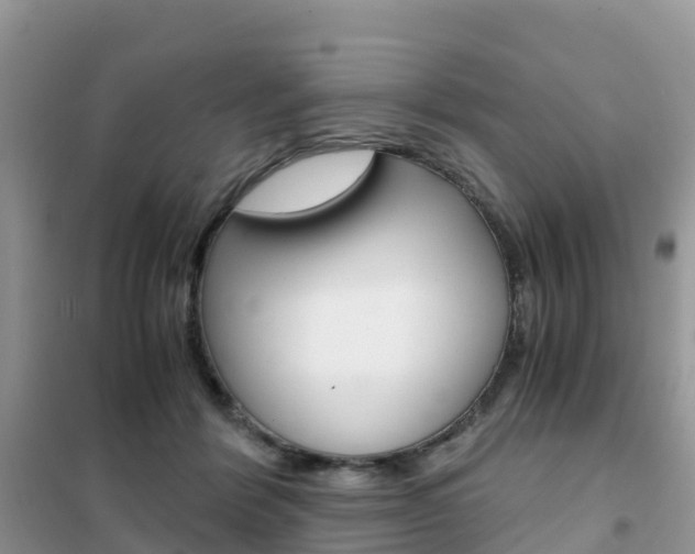 X0000102370412200808011028