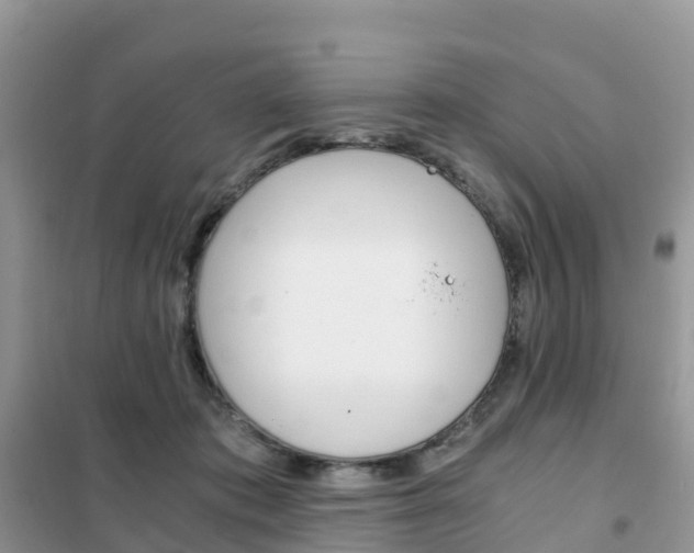X0000102370413200808011028