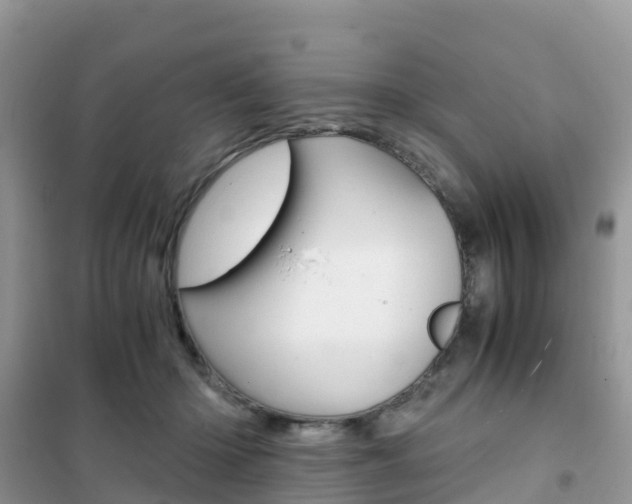 X0000102370414200808011028