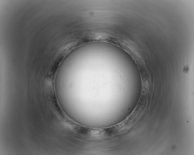 X0000102370415200808011028