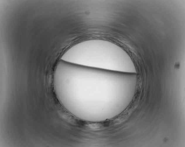 X0000102370417200808011028