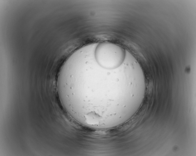 X0000102370418200808011028