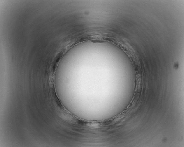 X0000102370419200808011028