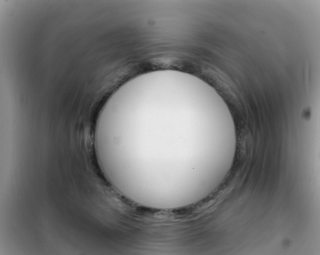 X0000102370420200808011028