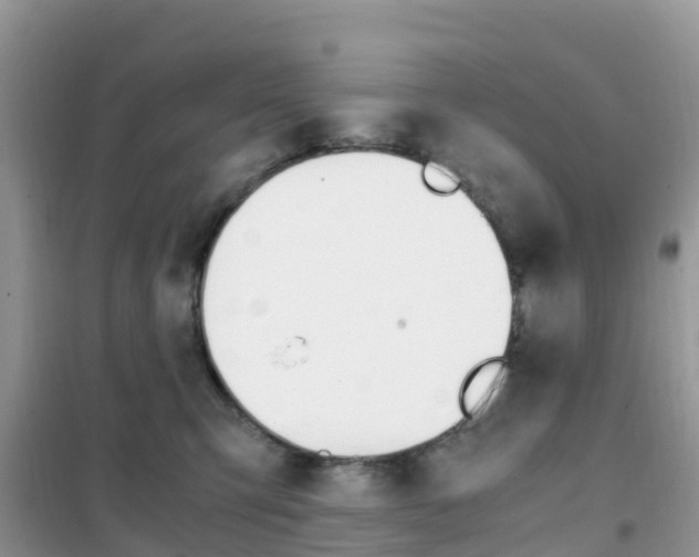 X0000102370423200808011028