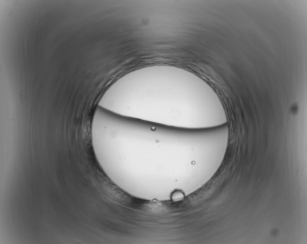 X0000102370425200808011028