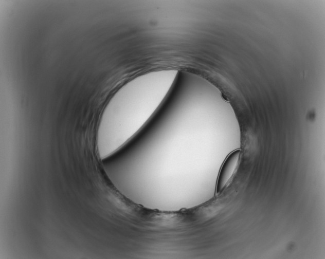 X0000102370428200808011028