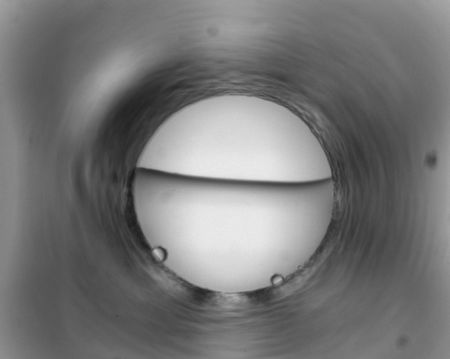 X0000102370429200808011028