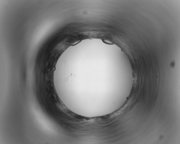 X0000102370430200808011028