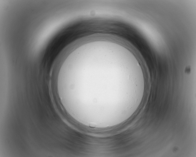 X0000102370431200808011028