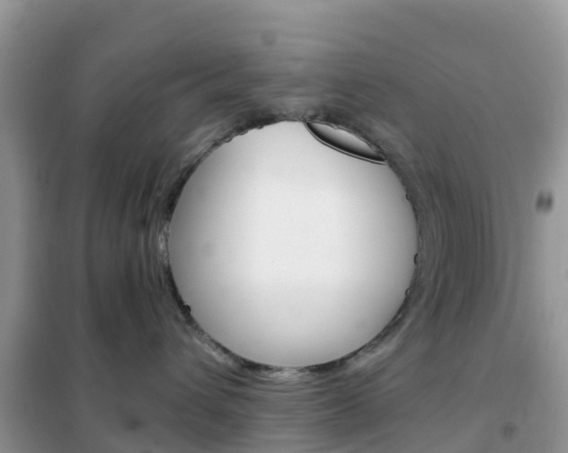 X0000102370432200808011028