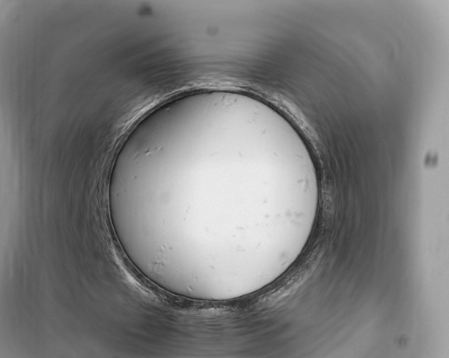 X0000102370433200808011027