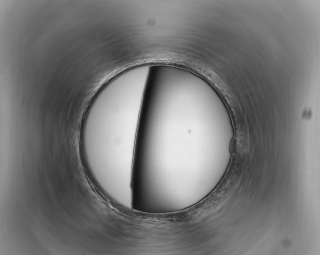 X0000102370434200808011027