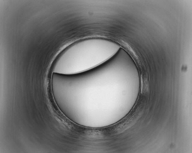 X0000102370435200808011027