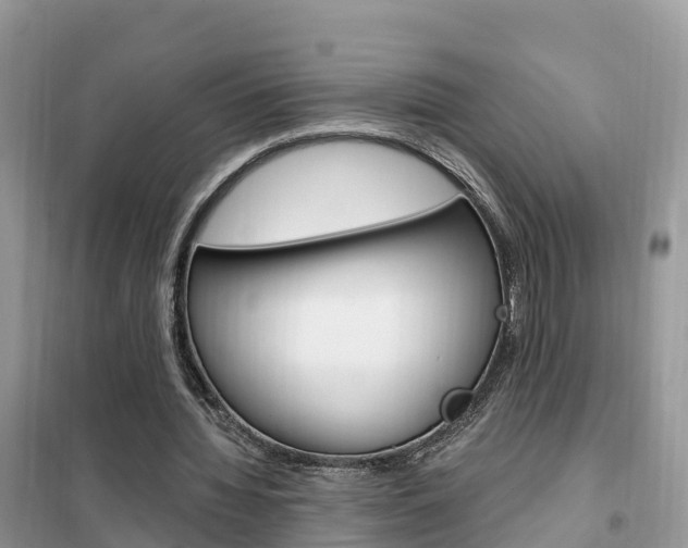 X0000102370436200808011027