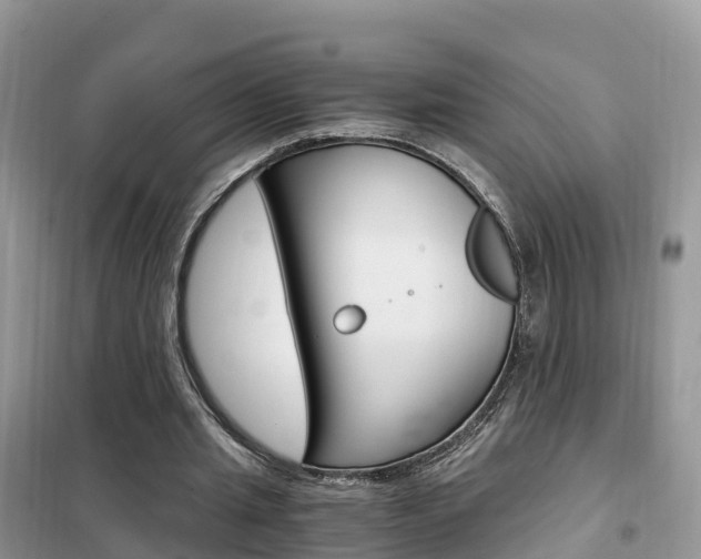 X0000102370437200808011027